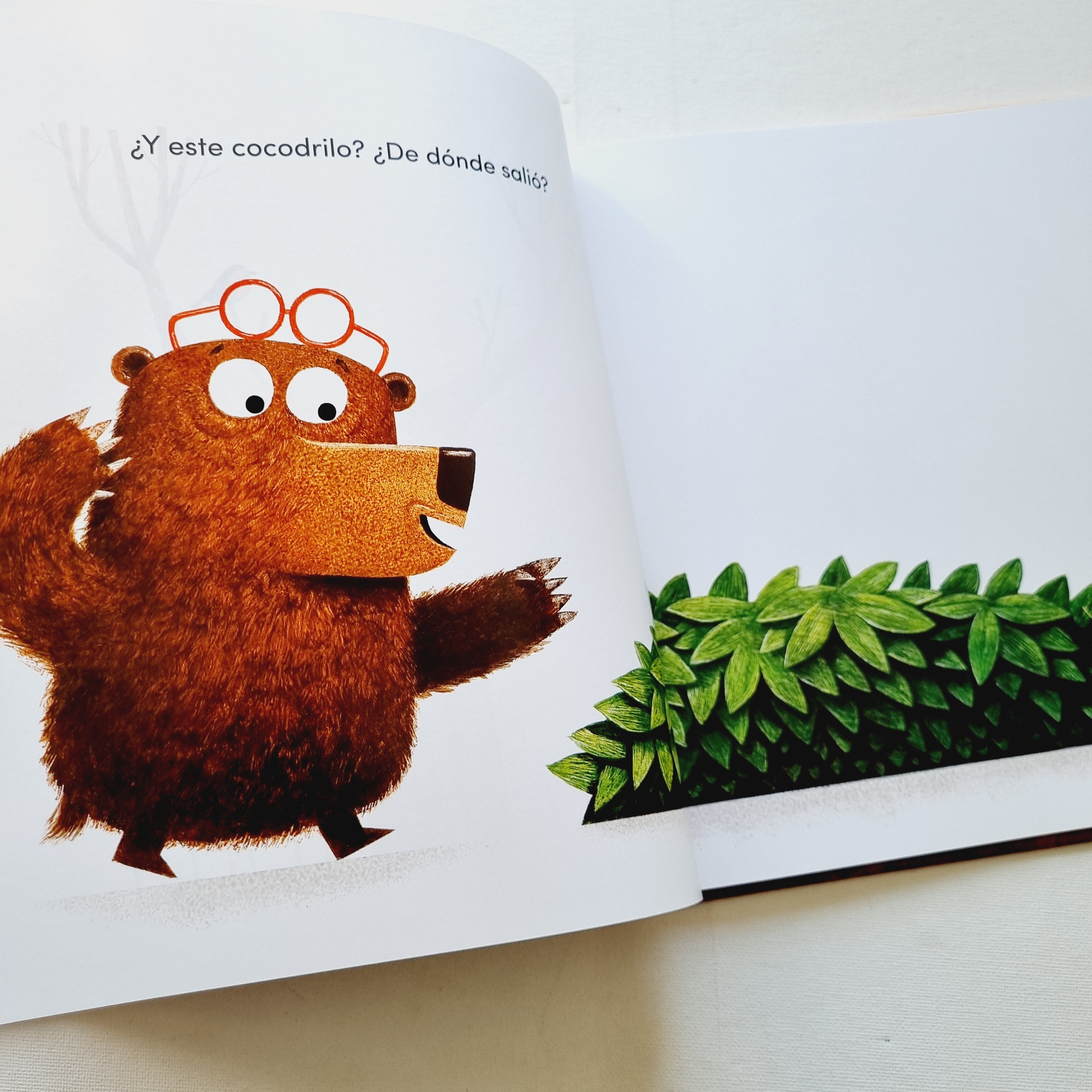 Los anteojos de Oso Los anteojos de Oso